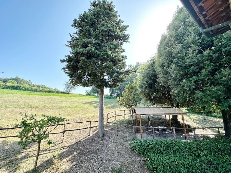 Casale Di Valle Mora San Gimignano Exteriör bild